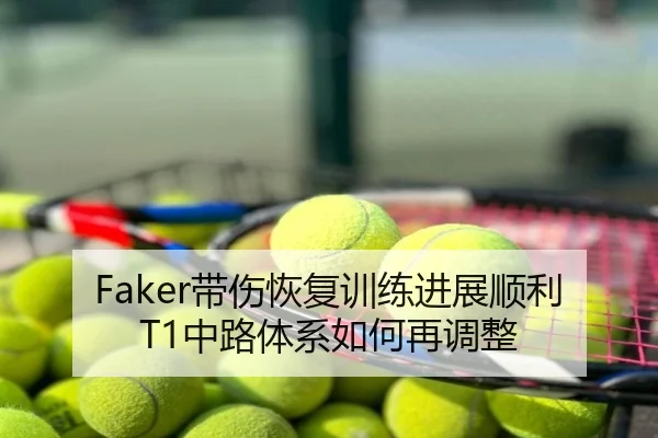 Faker带伤恢复训练进展顺利 T1中路体系如何再调整